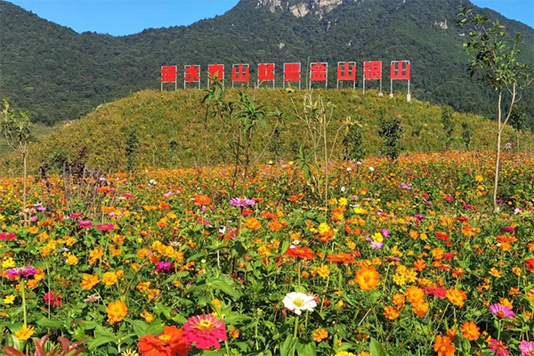广晟集团控股上市公司广晟有色强化矿山风险管控、提升本质安全的经验做法得到我省应急管理厅充分肯定_图4.jpg
