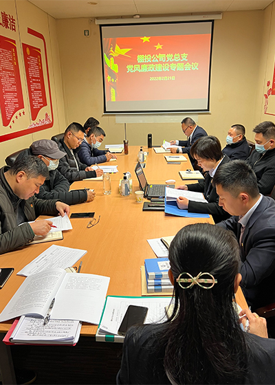 棚投公司党总支党风廉政建设专题会议.jpg