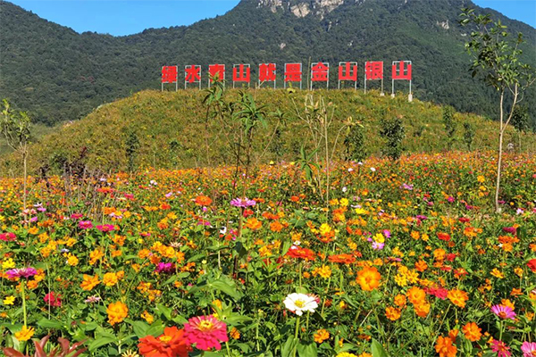 让山更绿 水更清 广晟集团在行动-图1.jpg