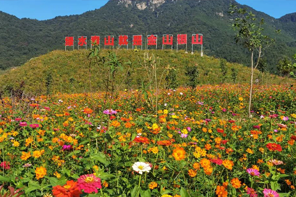 广晟有色大宝山矿党委构建“党建+”创新工作模式 推动党建工作与生产经营深度融合-图3.jpg